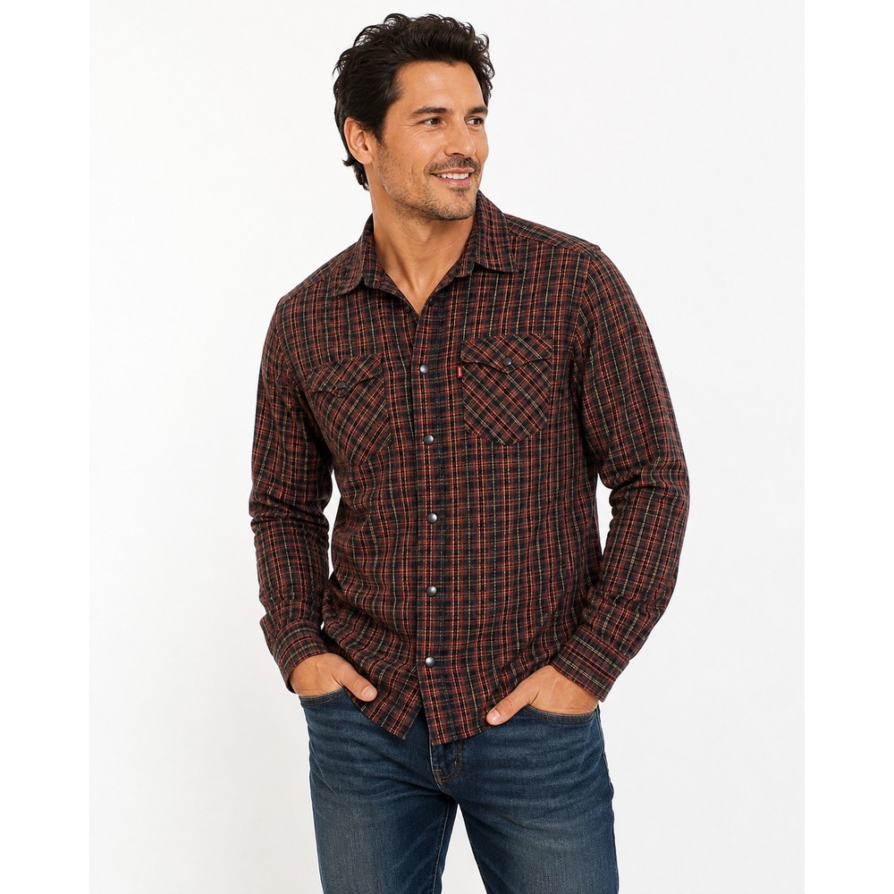 Levi's Shirt Men's Small Multicolor Standard Western Long Sleeve